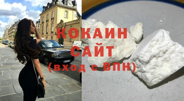 дмт Пестово