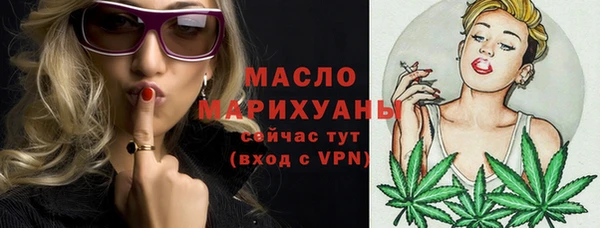 дмт Пестово