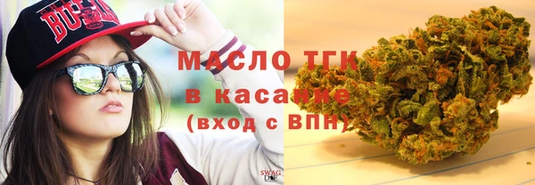 дмт Пестово