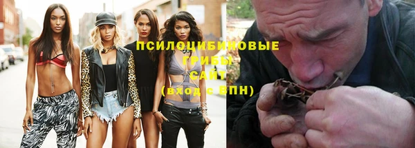 дмт Пестово