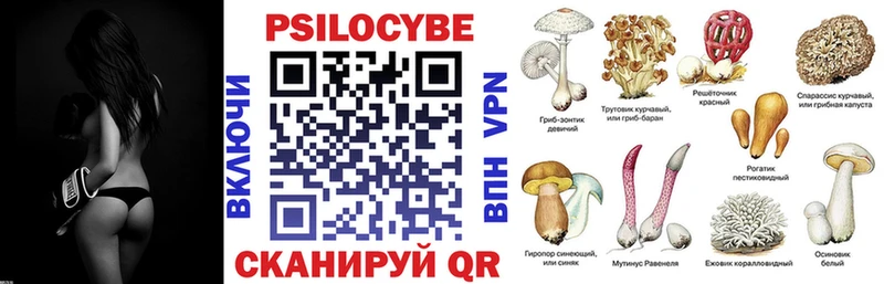 Псилоцибиновые грибы GOLDEN TEACHER  купить закладку  Белоярский 